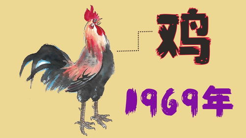 1969年属鸡的寿命多长(69年属鸡55岁三大坎坷)